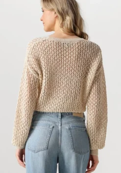beige aaiko trui jaylee co 460