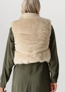 ANOTHER LABEL bodywarmer ellis><noscript><img width=