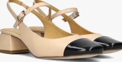 CTWLK slingbacks albania><noscript><img width=