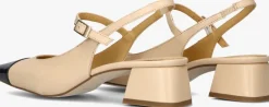 CTWLK slingbacks albania><noscript><img width=