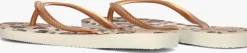 beige havaianas teenslippers slim animals