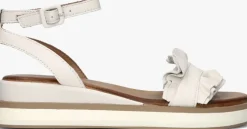 INUOVO sandalen 113061>DAMES Sandalen