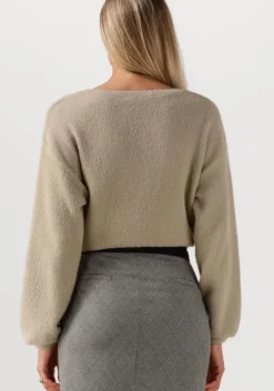 beige jansen amsterdam truien/vesten caily trui p 150 round neckline