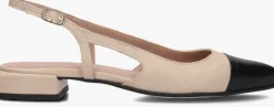 LINA LOCCHI slingbacks 010-132>DAMES Hakken