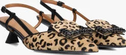 LODI slingbacks da5502-p><noscript><img width=