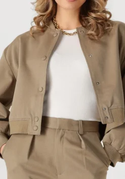 NOTRE-V jack nv-fynn><noscript><img width=