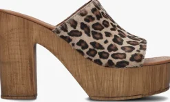 NOTRE-V muiltjes 7189>DAMES Muiltjes|Hakken