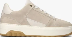 NUBIKK lage sneakers basket court miele>DAMES Sneakers