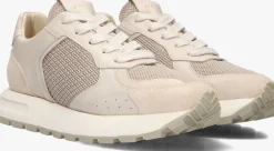 NUBIKK lage sneakers rose nomad><noscript><img width=