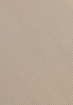 beige rosemunde top silk top w/ lace