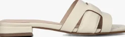 STEFANO LAURAN slippers 24050>DAMES Slippers