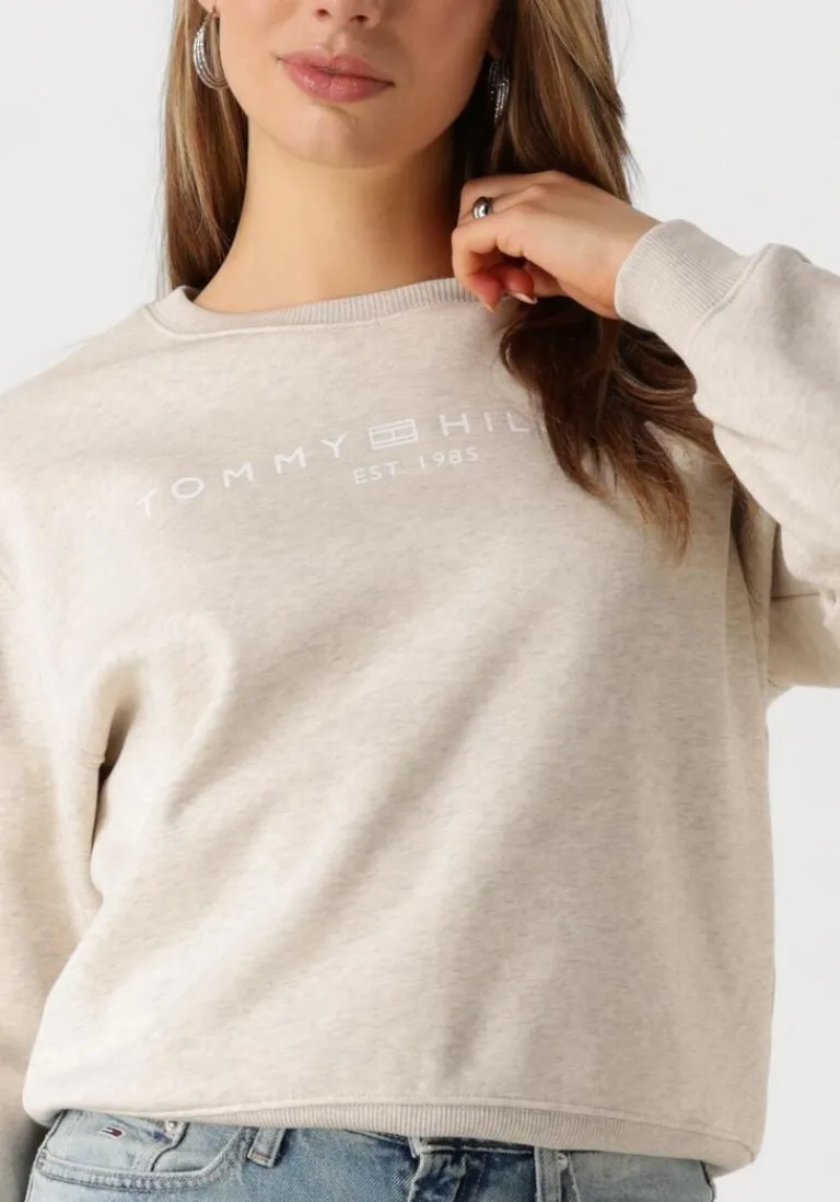 TOMMY HILFIGER sweater mdrn reg corp logo c-nk swtshrt>DAMES Truien & Vesten