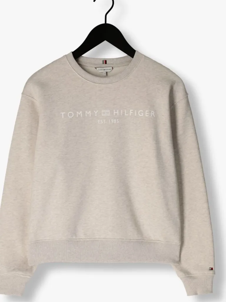 TOMMY HILFIGER sweater mdrn reg corp logo c-nk swtshrt>DAMES Truien & Vesten