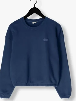 blauwe american vintage sweater izubird d