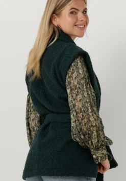 blauwe circle of trust gilet dolly gilet