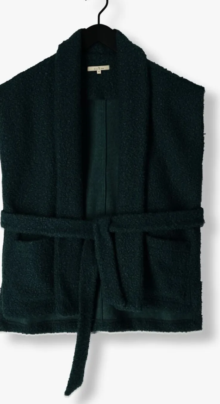 blauwe circle of trust gilet dolly gilet