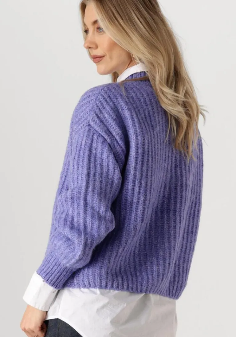 CIRCLE OF TRUST e trui joelle knit>DAMES Truien & Vesten