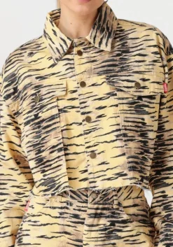 HARPER & YVE e jack willow-ja><noscript><img width=