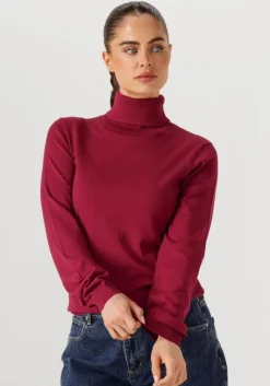 SILVIAN HEACH coltrui turte neck sesin>DAMES Truien & Vesten