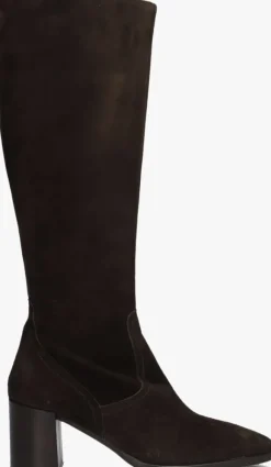 BLASZ e hoge laarzen 106>DAMES Laarzen