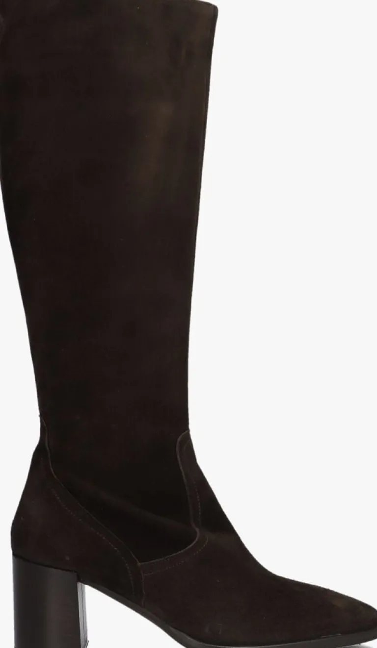 BLASZ e hoge laarzen 106>DAMES Laarzen