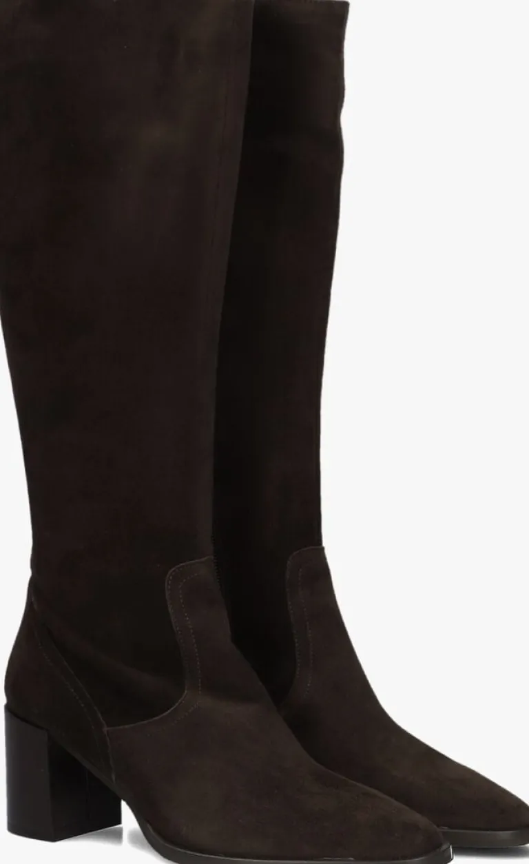 BLASZ e hoge laarzen 106>DAMES Laarzen