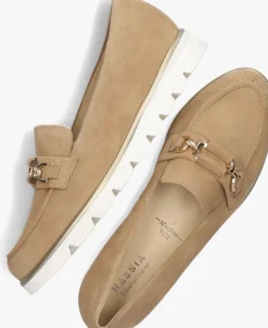 bruine hassia instappers 301552 pisa