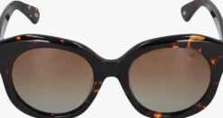 bruine ikki zonnebril 77