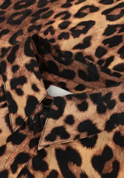 bruine janice blouses dylan