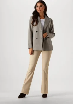 bruine josh v blazer damia