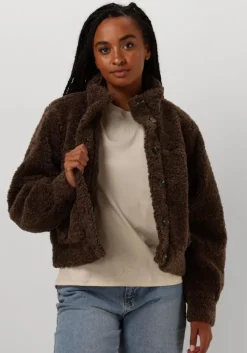 bruine moves teddy jas lesari