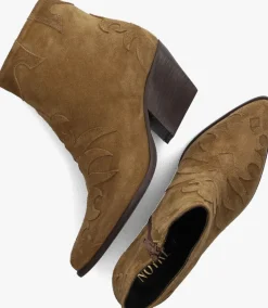 NOTRE-V e enkellaarsjes ar196><noscript><img width=