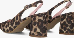 NOTRE-V e slingbacks 2315c><noscript><img width=