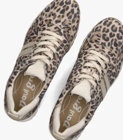 bruine paul green lage sneakers 5392