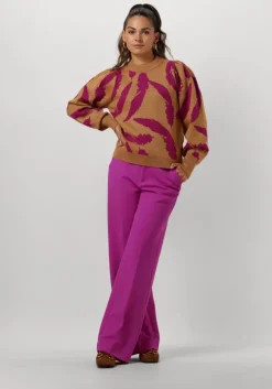 POM AMSTERDAM e trui pullover - feathers sparkle>DAMES Truien & Vesten