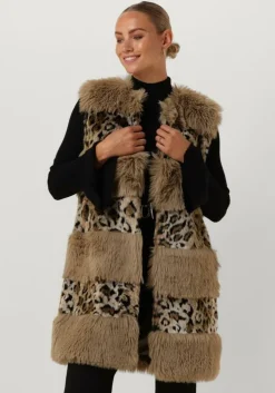 bruine twinset milano gilet 13353140-cpc