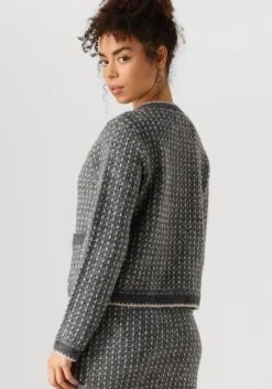 SELECTED FEMME donkergrijze vest slfsine ls knit cardigan><noscript><img width=