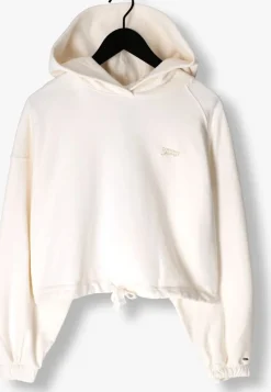 TOMMY JEANS sweater tjw crp gmd script hoodie><noscript><img width=
