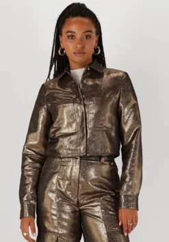 JOSH V en blouses davis>DAMES Blouses