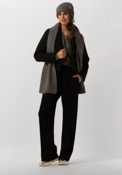 STEVE MADDEN en lage sneakers spectator>DAMES Sneakers