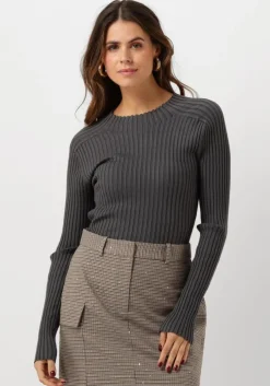 grijze aaiko tops & t-shirts bente vis 300