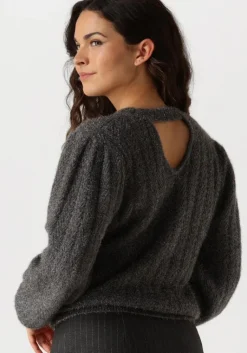 AAIKO grijze trui femme pes 377><noscript><img width=