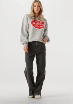 ALIX THE LABEL grijze sweater ladies knitted adventure sweater>DAMES Truien & Vesten