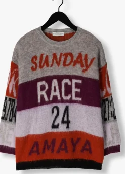 AMAYA AMSTERDAM grijze trui amaya race sweater><noscript><img width=