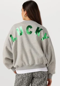 BY-BAR grijze sweater bibi lucky curve sweater>DAMES Truien & Vesten