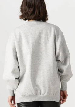 CATWALK JUNKIE grijze trui relaxed sweater><noscript><img width=