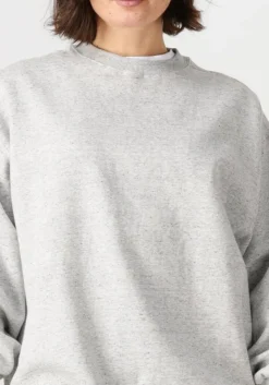 CATWALK JUNKIE grijze trui relaxed sweater><noscript><img width=