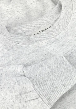 CATWALK JUNKIE grijze trui relaxed sweater><noscript><img width=