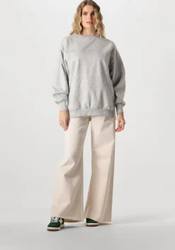CATWALK JUNKIE grijze trui relaxed sweater><noscript><img width=