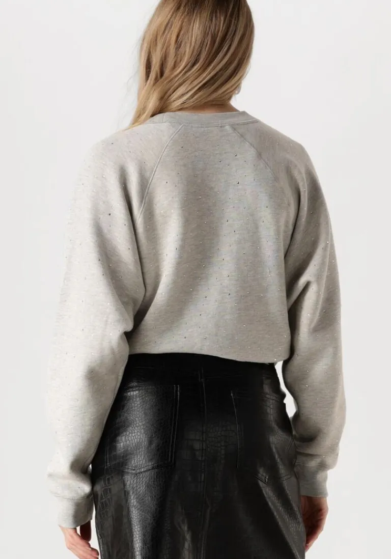 CATWALK JUNKIE grijze trui relaxed raglan sleeve sweater with strass>DAMES Truien & Vesten